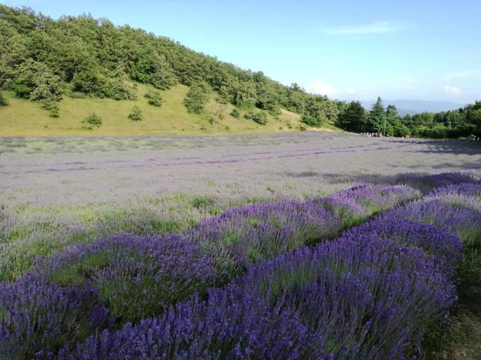 B&B I Girasoli Monte San Pietro Esterno foto