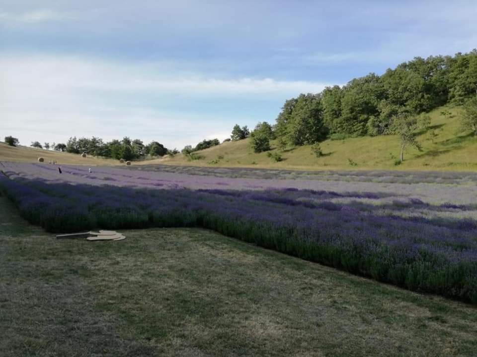 B&B I Girasoli Monte San Pietro Esterno foto